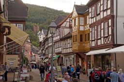JFF im Spessart  (088)