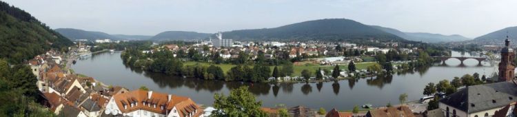 JFF im Spessart  (194)